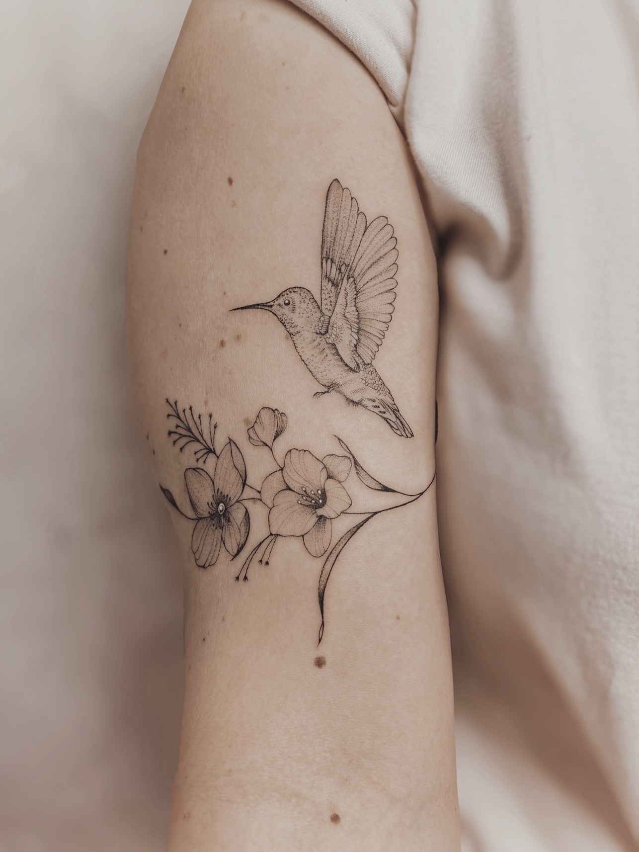Kolibřík - jemné tetování Brno